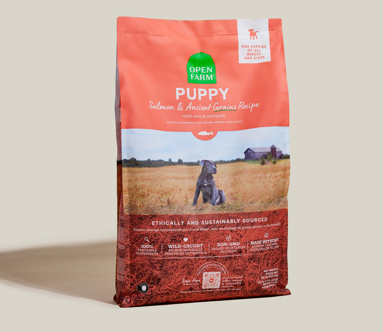 Salmon & Ancient Grains Puppy Kibble