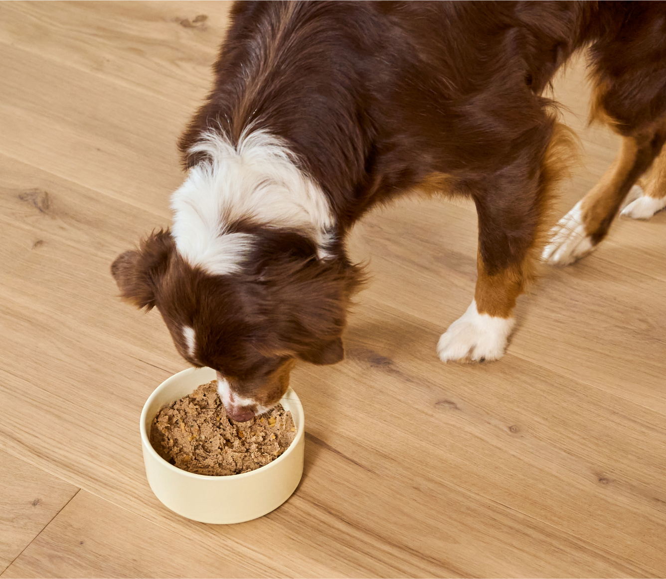 Chicken & Grass-Fed Beef Pâté for Dogs